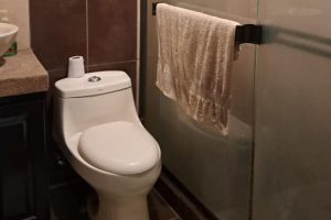 Condo in Palmares bathroom